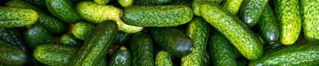 Pepinillos Estilo Alemán