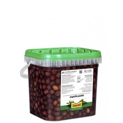 Cuquillo cracked olives Bucket 4.600 cc